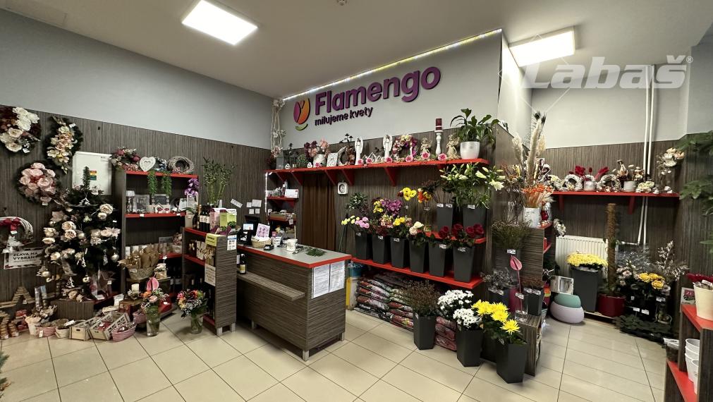 Pizzéria - v príprave