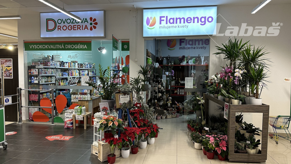 Pizzéria - v príprave