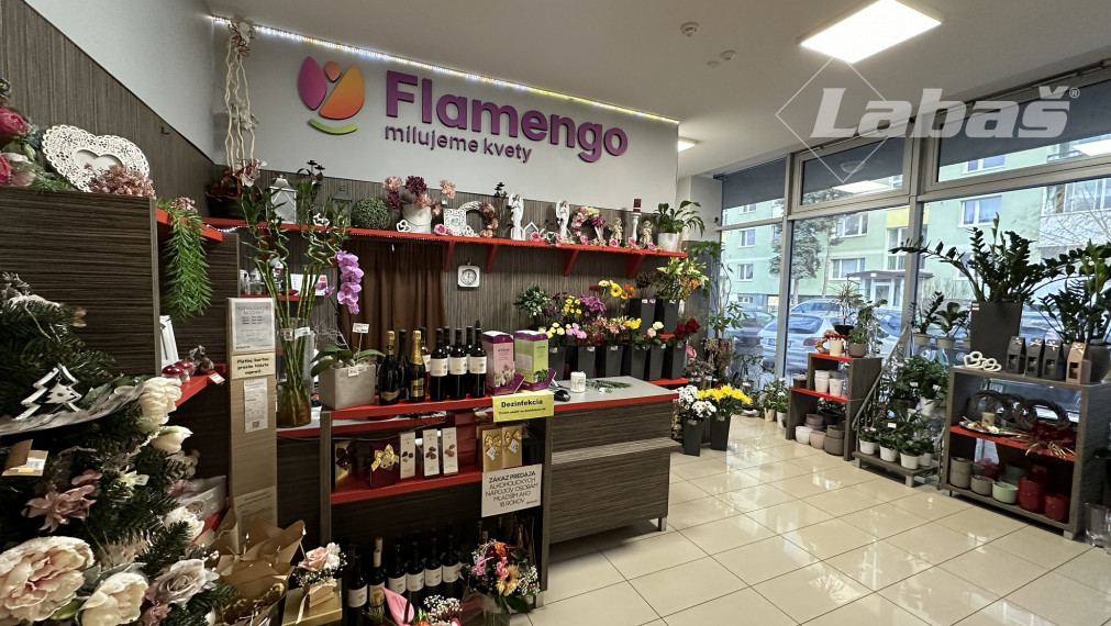 Pizzéria - v príprave