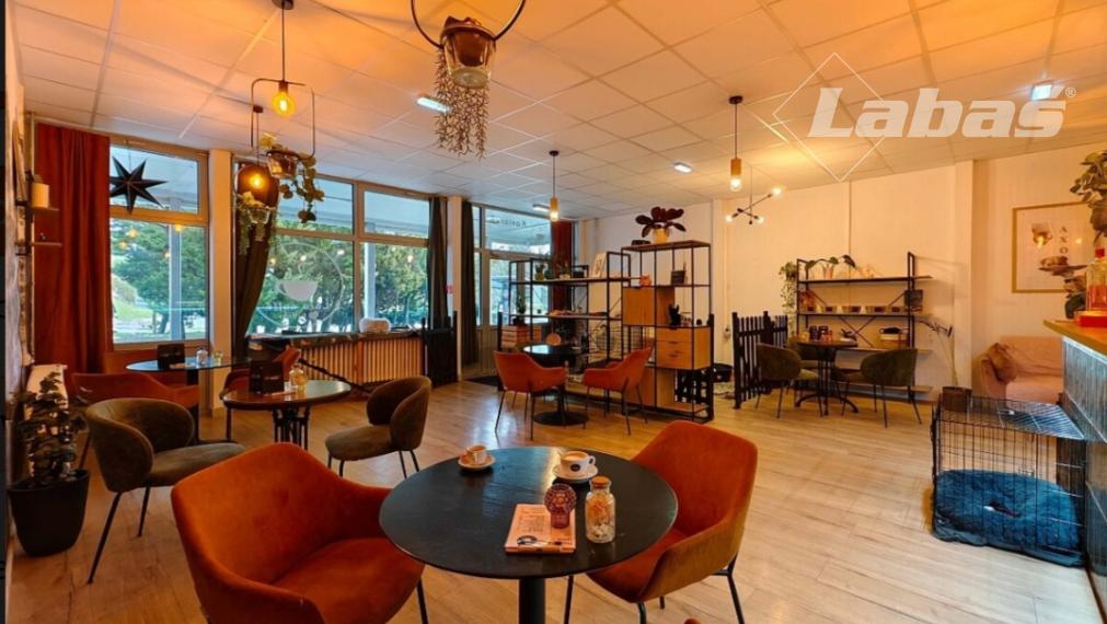 Kaviareň, škôlka a salón pre psíkov  OC Laborec