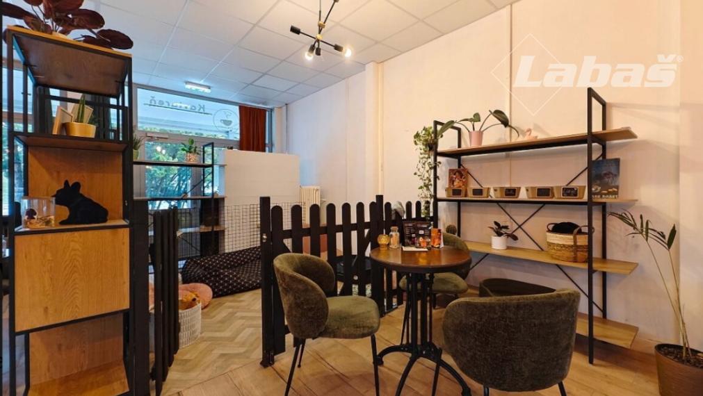 Kaviareň, škôlka a salón pre psíkov  OC Laborec