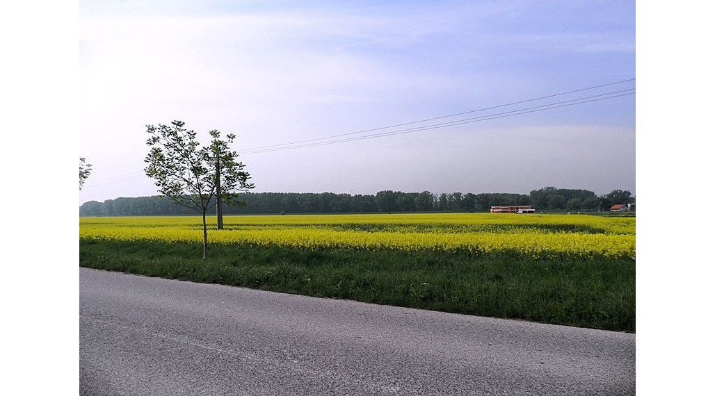 Predaj pozemkov Dobrohošť – Žitný ostrov