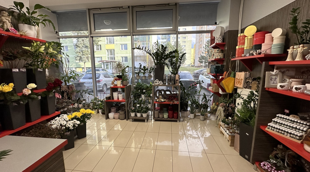 Pizzéria - v príprave