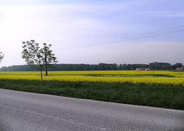 Predaj pozemkov Dobrohošť – Žitný ostrov
